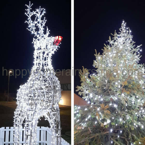 Lit Reindeer and Christmas tree.