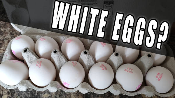 White Eggs?